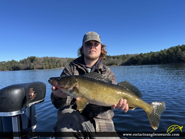 28" Walleye caught on 12 Mile Lake